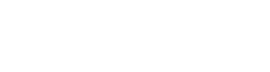 VF9