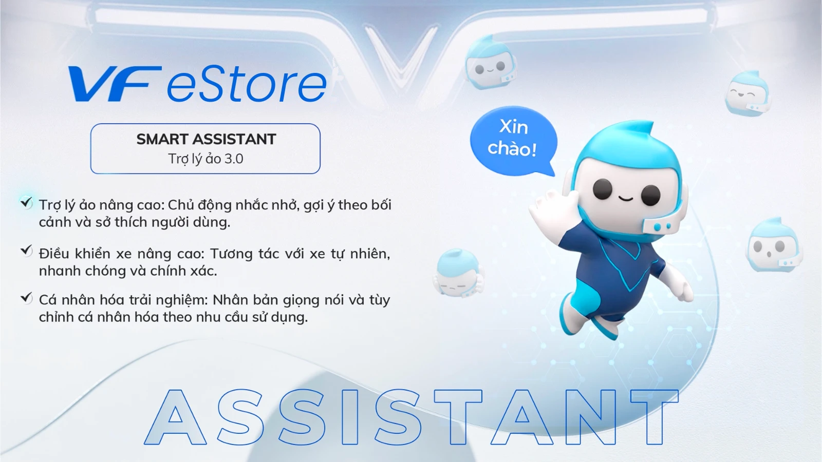 VF eStore