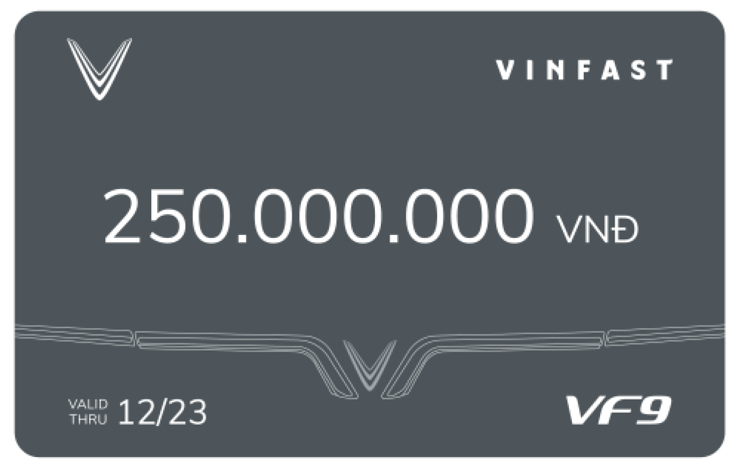 voucher thanh toán 250 triệu khi đặt cọc vf9